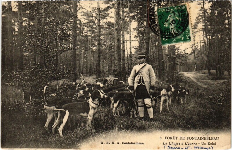 Carte postale ancienne Fontainebleau La Chasse a Courre-Un Relai France à Fontainebleau