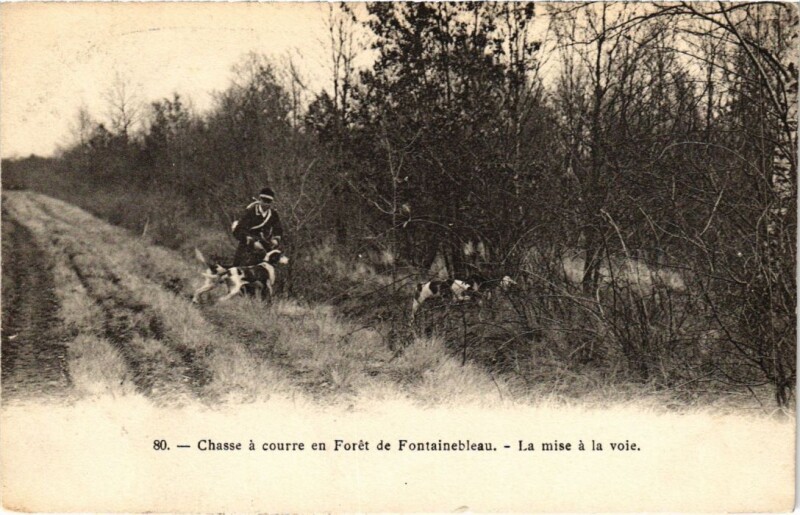 Carte postale ancienne Fontainebleau La mise a la voie France à Fontainebleau