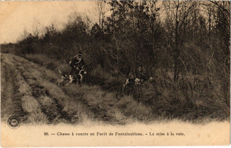 Carte postale ancienne Fontainebleau La mise a la voie France à Fontainebleau