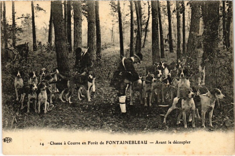 Carte postale ancienne Fontainebleau Avant le decoupler France à Fontainebleau