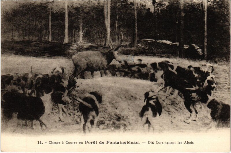 Carte postale ancienne Fontainebleau Dix-Cors tenant les Abois France à Fontainebleau