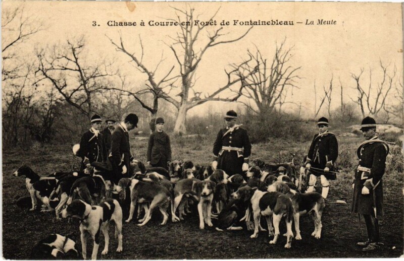 Carte postale ancienne Fontainebleau La Meute France à Fontainebleau