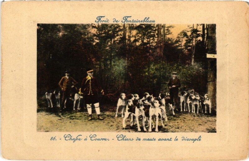 Carte postale ancienne Fontainebleau Chiens de meute avant le decoupler France à Fontainebleau