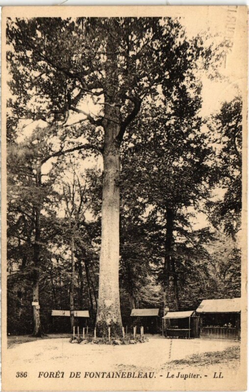 Carte postale ancienne Fontainebleau Le Jupiter France à Fontainebleau