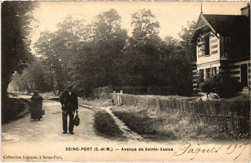 Carte postale ancienne Seine-Port Avenue de Sainte-Assise France à Seine-Port