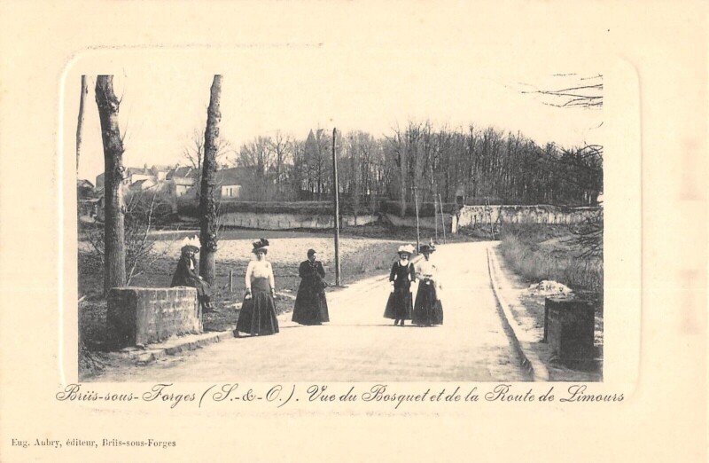 Carte postale ancienne Briis Sous Forges - Vue Du Bosquet Et De La Route De Limours - Encadremen à Briis-sous-Forges