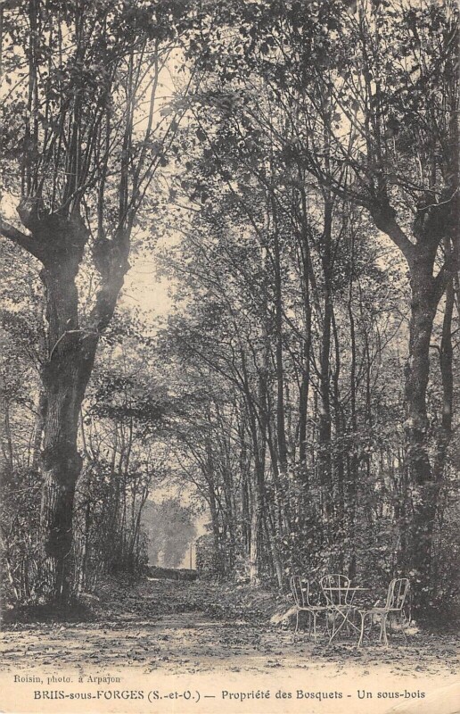 Carte postale ancienne Briis Sous Forges - Propriete Des Bosquets - Un Sous Bois - cliché rare à Briis-sous-Forges