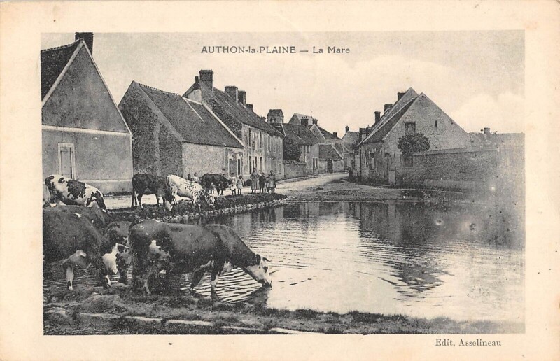 Carte postale ancienne Authon La Plaine - La Mare - Vaches à Authon-la-Plaine