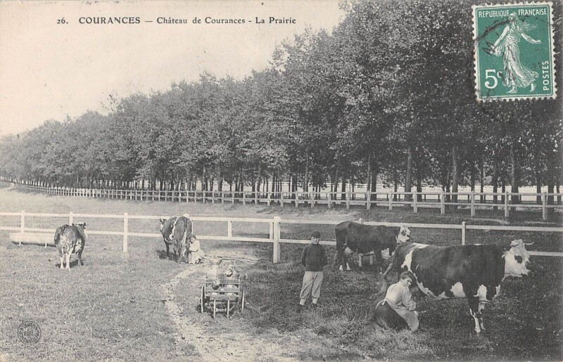 Carte postale ancienne Courances - Chateau De Courances - La Prairie - Vache - Laitiere à Courances