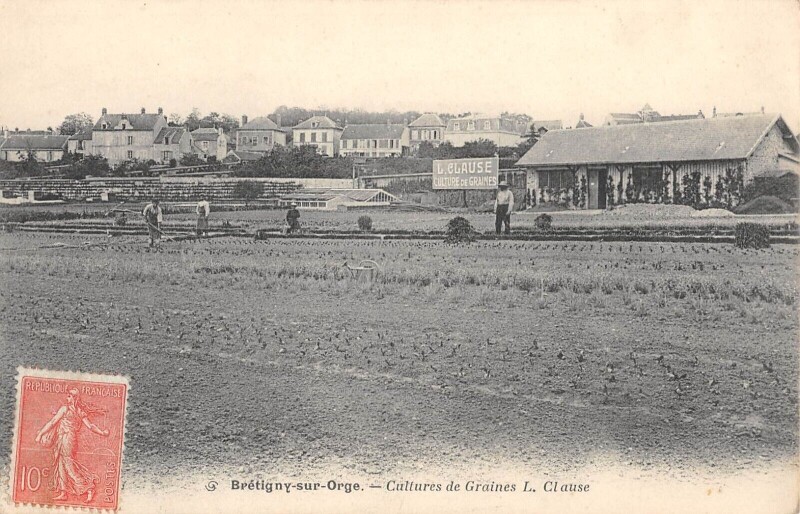 Carte postale ancienne Bretigny Sur Orge - Cultures De Graines - L.clause