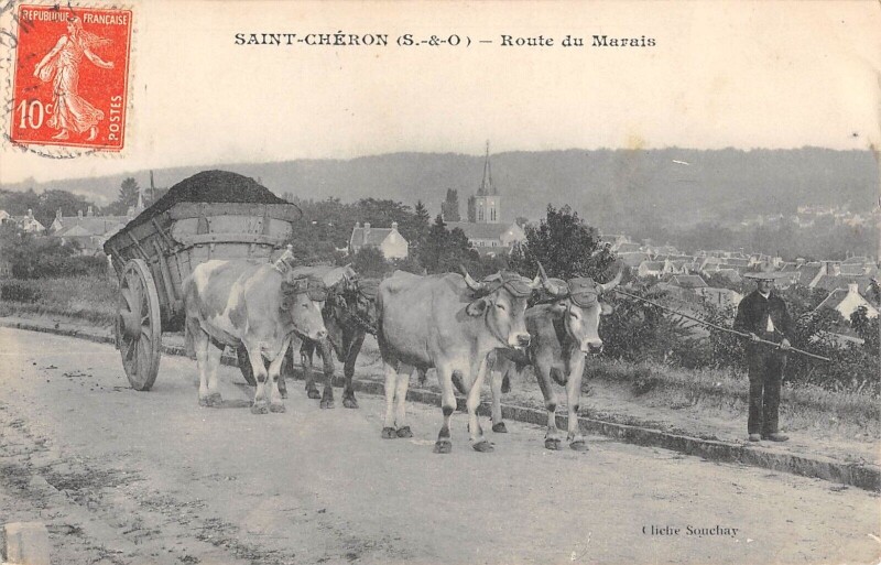 Carte postale ancienne Saint Cheron / Route Du Marais / Attelage