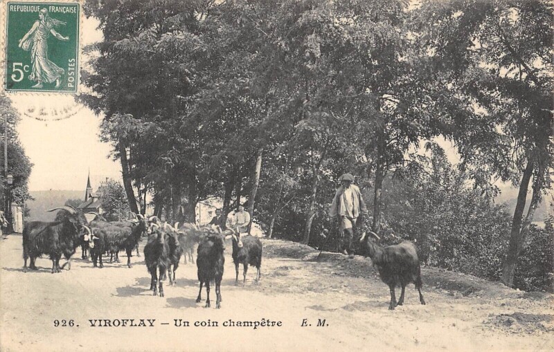 Carte postale ancienne Viroflay Un Coin Champetre à Viroflay