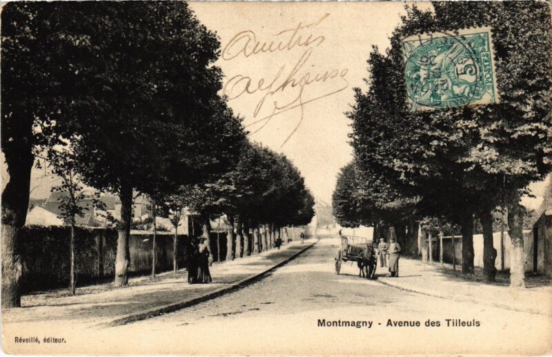 Carte postale ancienne Montmagny - Avenue des Tilleuis à Montmagny