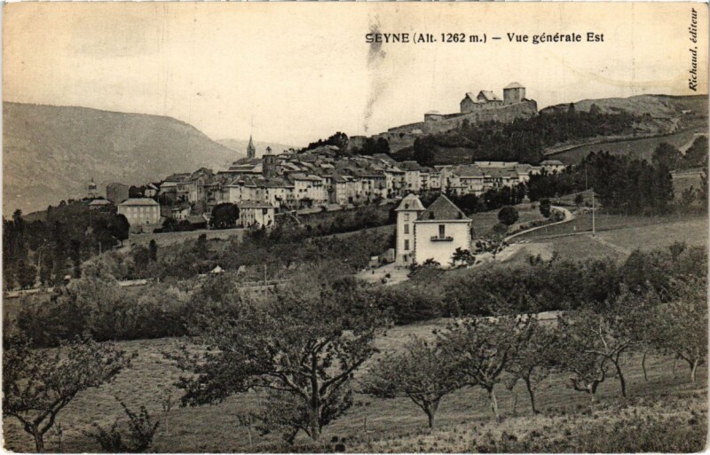 Carte postale ancienne Seyne Vue generale Est à Seyne