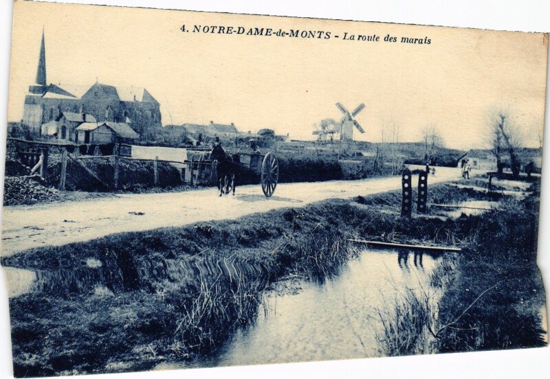 Carte postale ancienne Noter-Dame-de-Monts - La route des marais