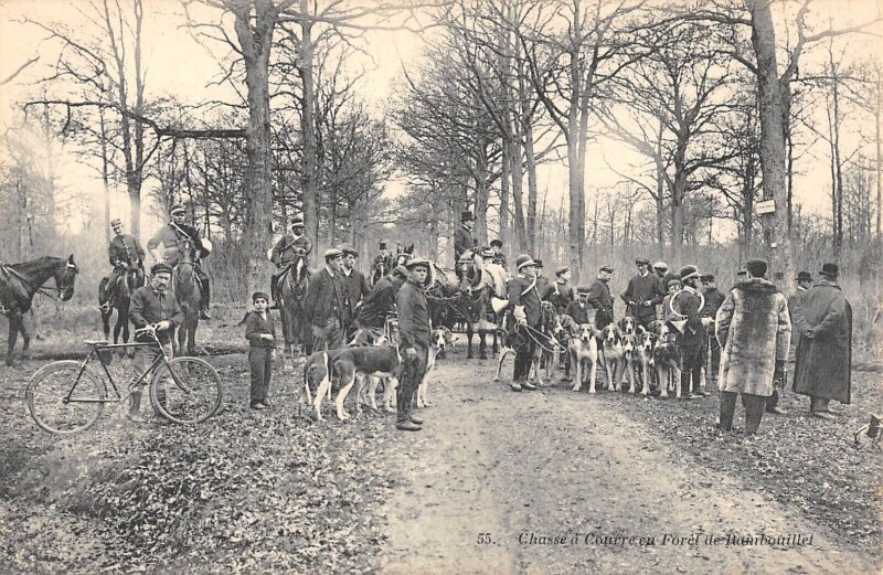 Carte postale ancienne Chasse A Courre En Foret De Rambouillet à Rambouillet