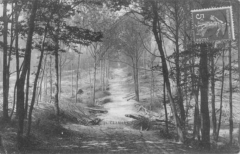 Carte postale ancienne Clamart Sous Bois à Clamart