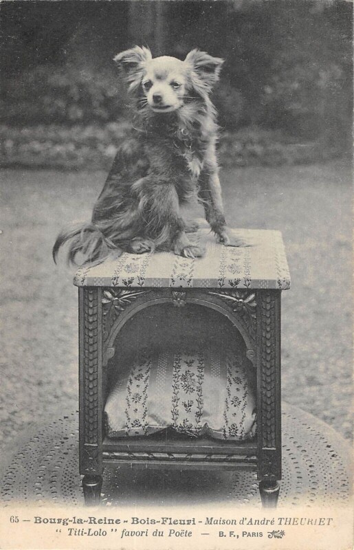 Carte postale ancienne Bourg La Reine Bois Fleuri Maison Andre Theuriet Titi Lolo Favori Du Poet à Bourg-la-Reine