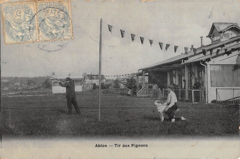 Carte postale ancienne Ablon Tir Aux Pigeons - Cpa Email
