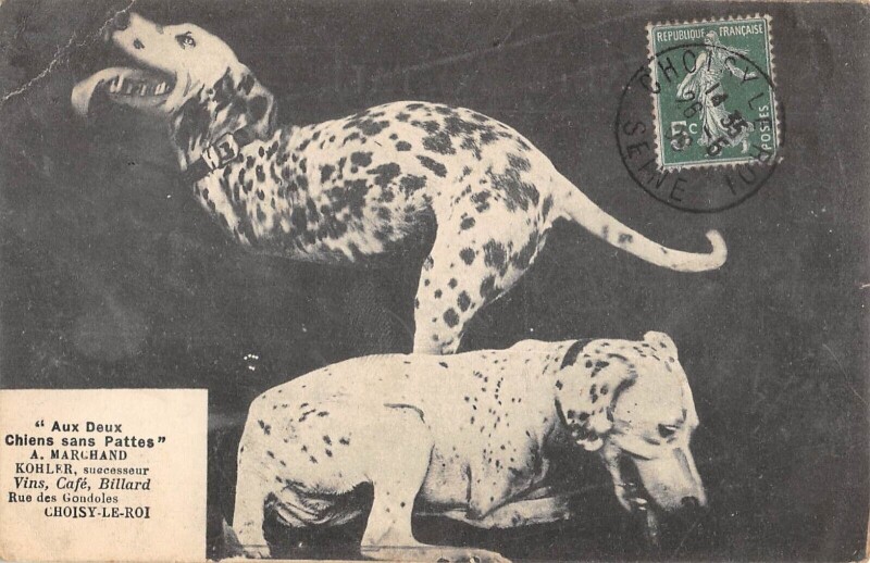 Carte postale ancienne Choisy Le Roi Aux Deux Chiens Sans Pattes Cafe Kohler Marchand Rue Des à Choisy-le-Roi