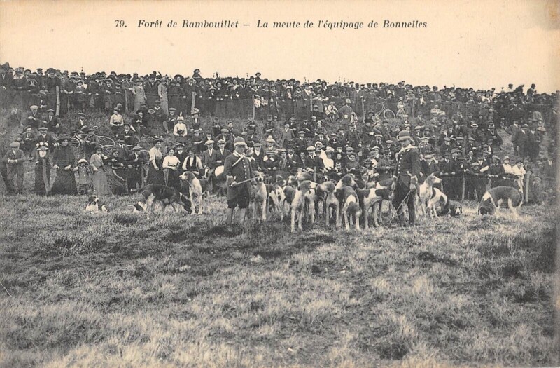 Carte Postale Ancienne - Chasse - Le Château - Équipage De Chézelles - La Meute