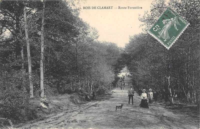 Carte postale ancienne Bois de Clamart - Route Forestière à Clamart