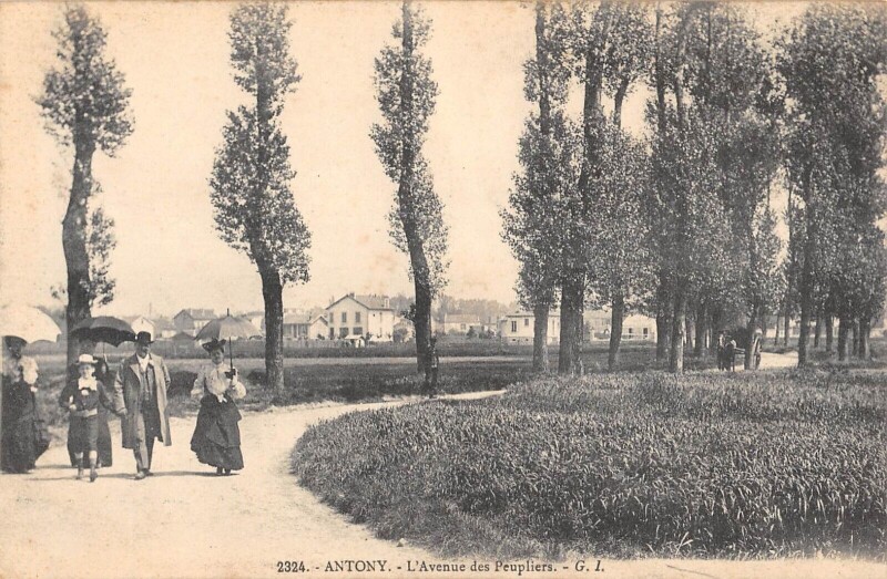 Carte postale ancienne Antony Avenue Des Peupliers à Antony