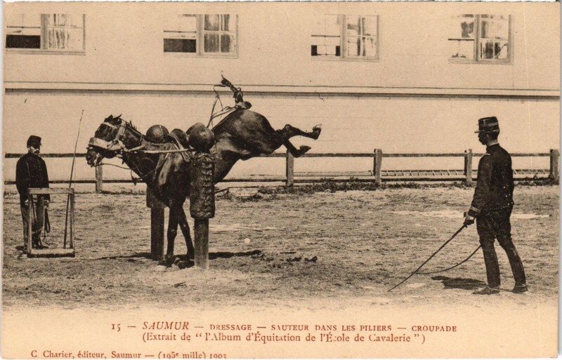 Carte postale ancienne Militaire - Saumur - Dressage - Sauteur dans les Piliers à Saumur