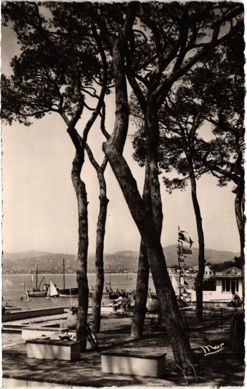 Carte postale ancienne Juan Les-Pins - La Pinéde