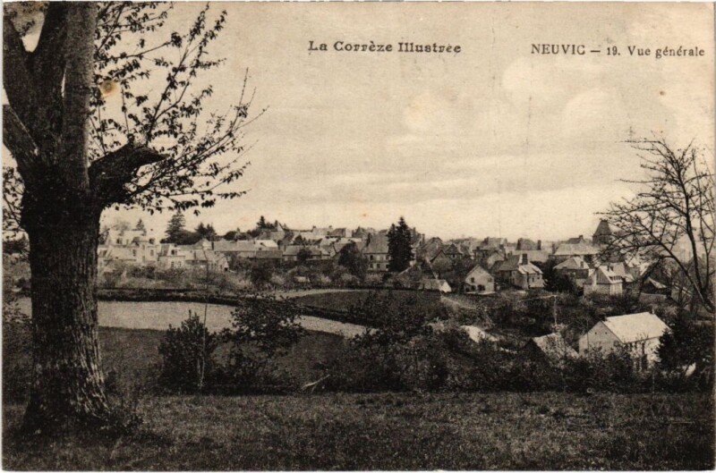 Carte postale ancienne Neuvic - Vue Generale à Neuvic