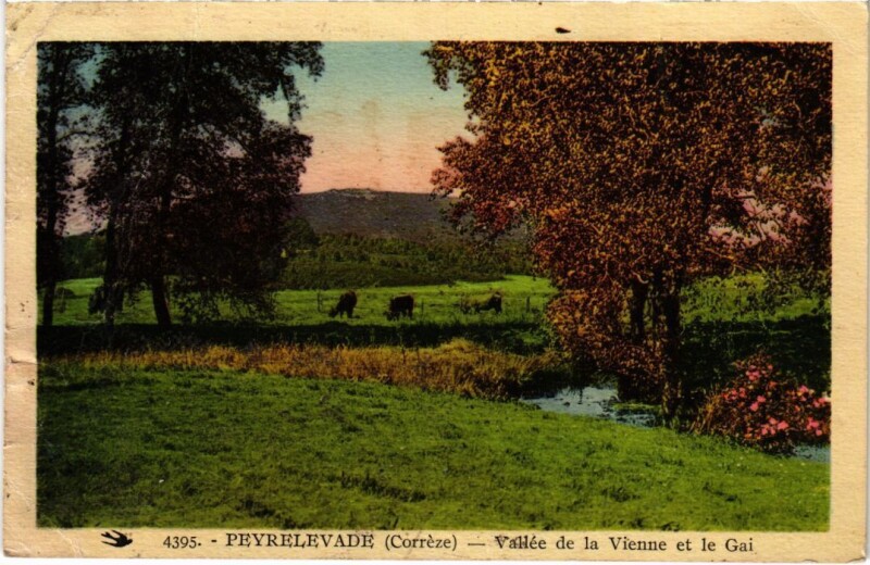 Carte postale ancienne Peyrelevade - Vallee de la Vienne et le Gai à Peyrelevade