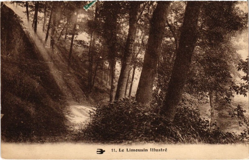 Carte postale ancienne Le Limousin Illustre - Foret - Forest Scene