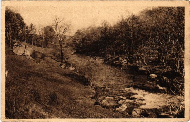 Carte postale ancienne Sous-Bois aux Environs de Bugeat à Bugeat