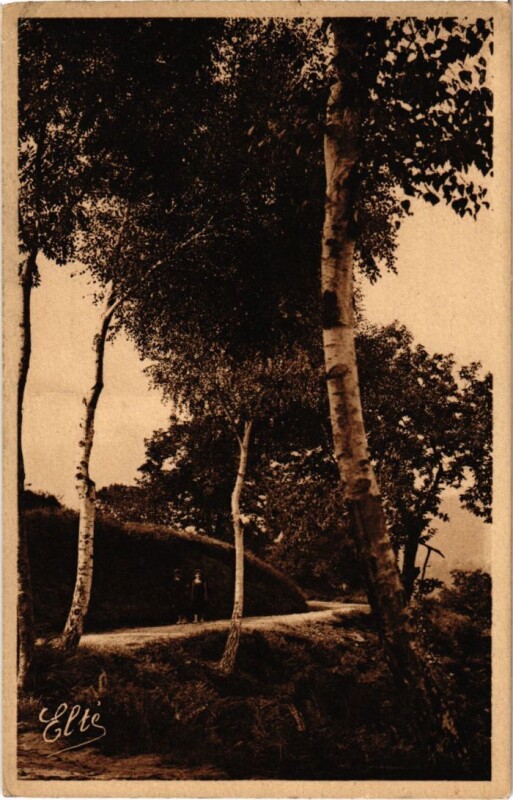 Carte postale ancienne Aubazine - La Route de Pauliac