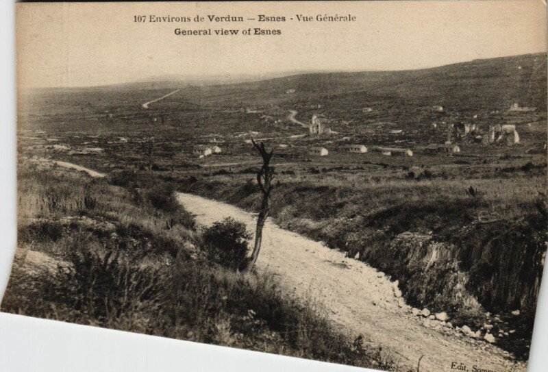 Carte postale ancienne Environs de verdun - Vue generale à Verdun