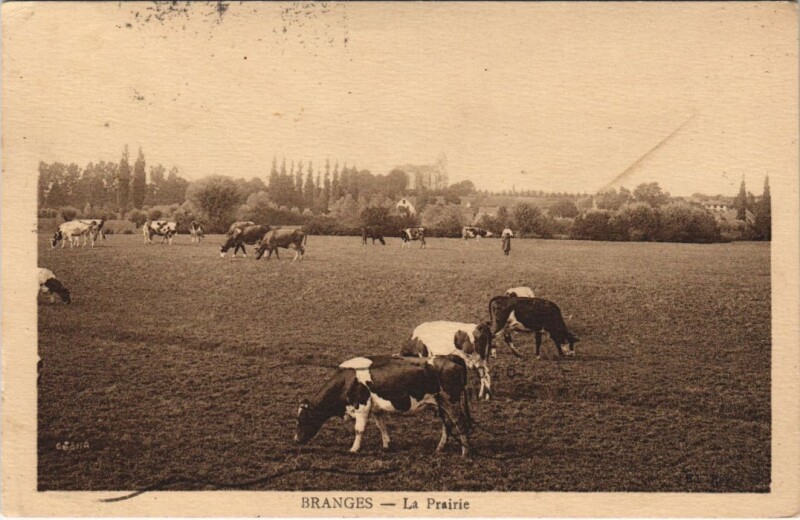 Carte postale ancienne Branges - La Prairie à Branges