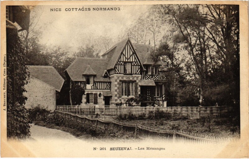Carte postale ancienne Nice- Les Mesanges France