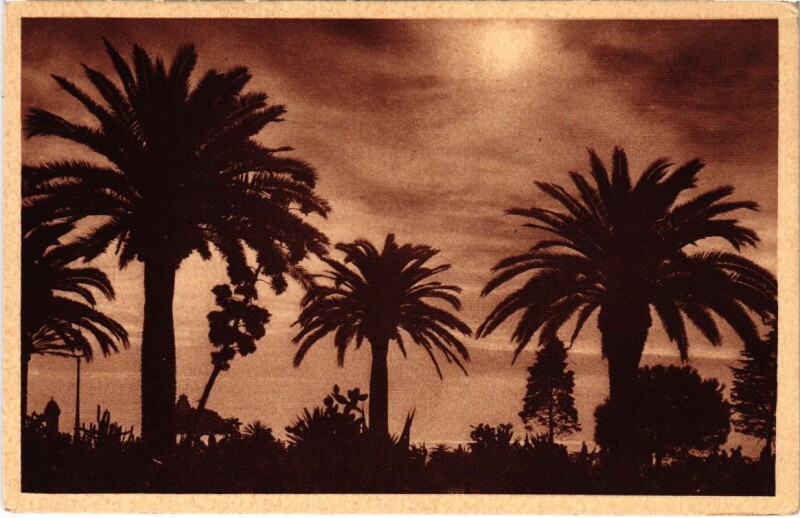 Carte postale ancienne Nice- Vision du soir France