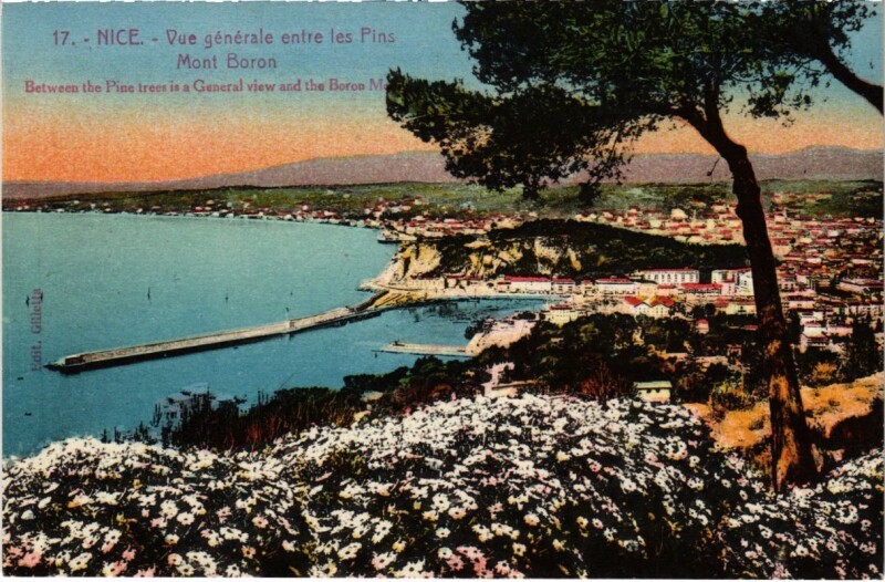 Carte postale ancienne Nice- vue generale France