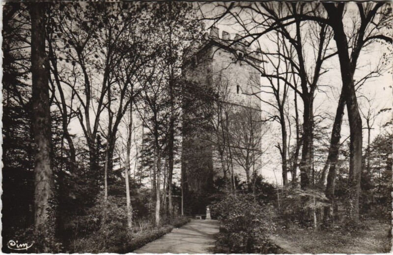Carte postale ancienne Montbard Le Parc et la Tour de Buffon à Buffon