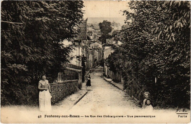 Carte postale ancienne Fontenay-aux-Roses - La Rue des Chataigniers Vue Panoramique à Fontenay-aux-Roses