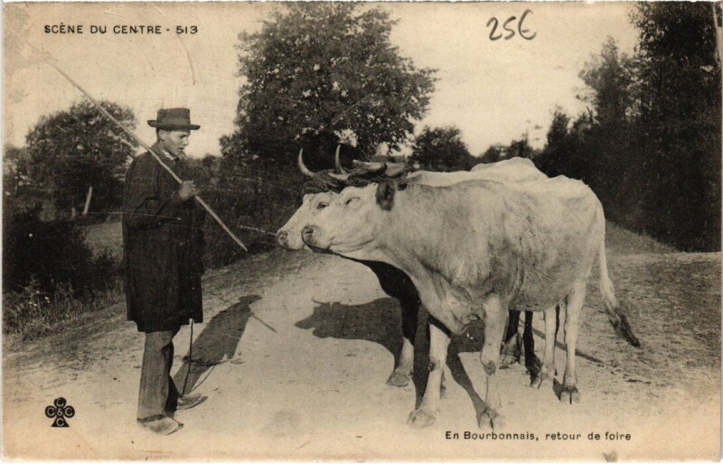 Carte postale ancienne Scene du Centre - En Bourbonnais retour de foire