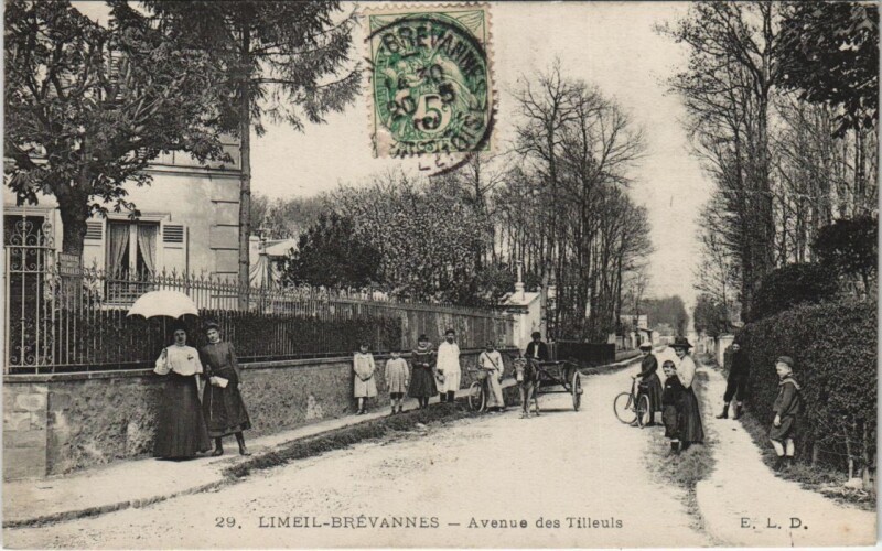 Carte postale ancienne Limeil-Brevannes - Avenue des Tilleuls à Limeil-Brévannes