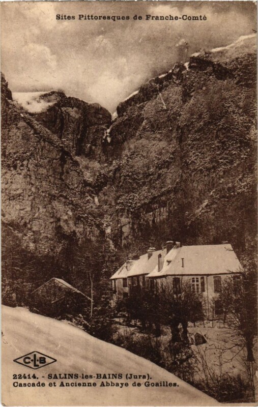 Carte postale ancienne Salins les Bains- Cascade et Ancienne Abbaye de Goailles France à Salins-les-Bains