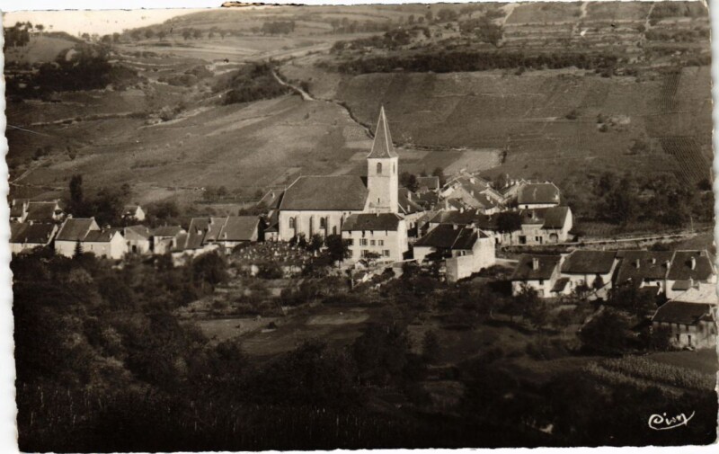 Carte postale ancienne Mesnay- vue generale France à Mesnay