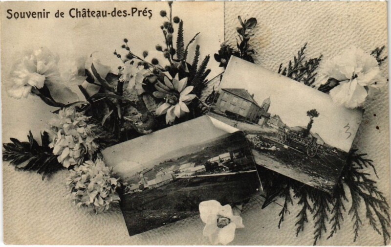 Carte postale ancienne Souvenir de Chateau des Pres France