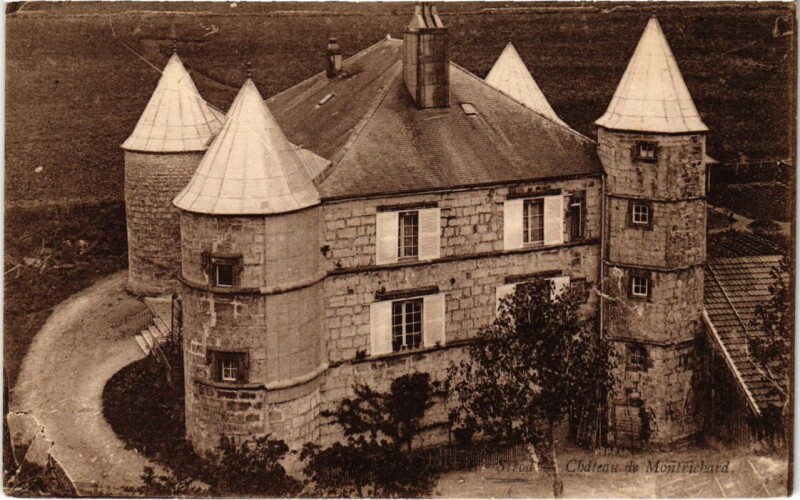 Carte postale ancienne Sirod- Chateau de Montrichard France à Sirod