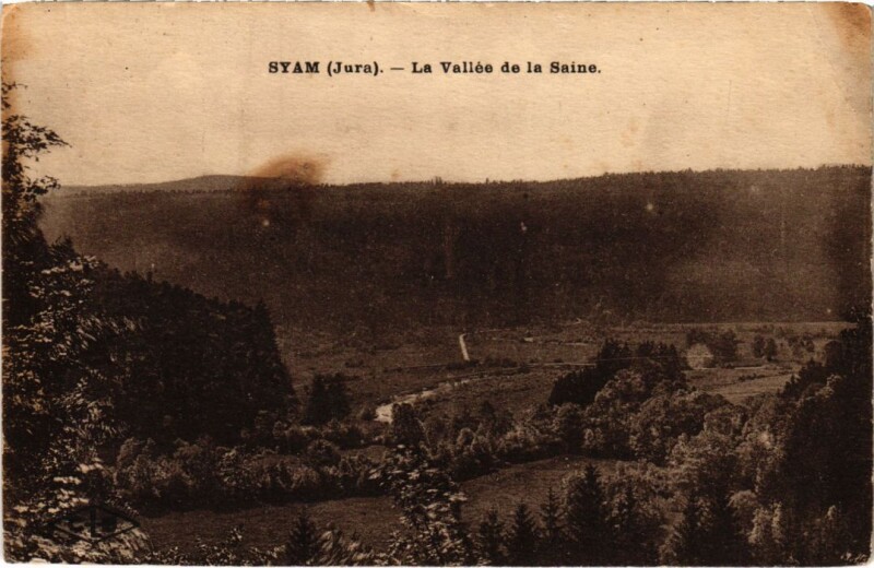Carte postale ancienne Stam- La Vallee de la Saine France