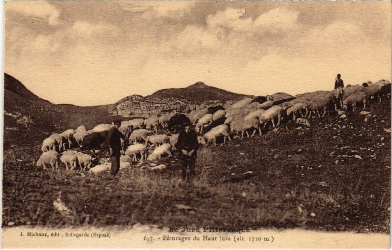 Carte postale ancienne Paturages du Haut Jura France-