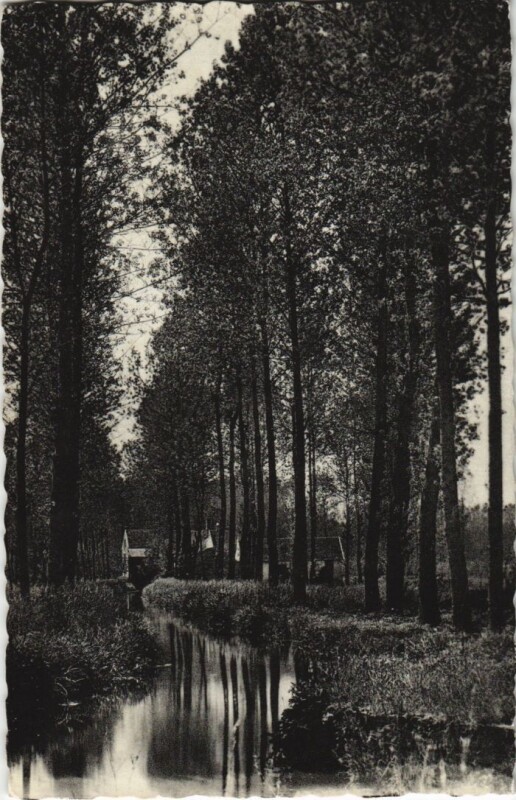 Carte postale ancienne Gandelu - Vallee du Clignon à Gandelu